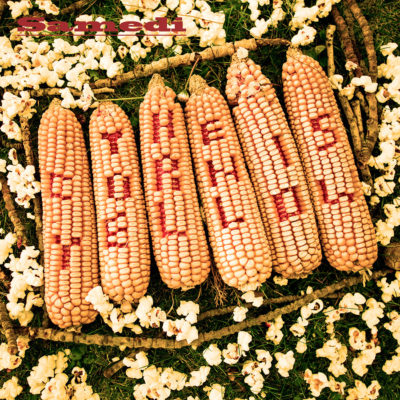 Bertrand Grave. Música y Audio. Samedi. The Corn is Yellow. 2016.